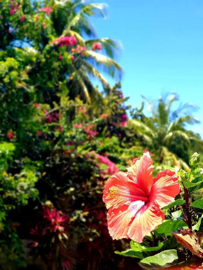 4 étoiles, La Vieille Sucrerie St Claude Guadeloupe, Jacuzzi Privatif, Vue Exceptionnelle Sur La Des Caraïbes *
