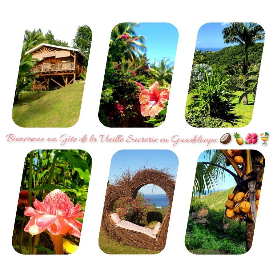 Hébergement de vacances 4 étoiles, La Vieille Sucrerie St Claude Guadeloupe, Jacuzzi Privatif, Vue Exceptionnelle Sur La Des Caraïbes Basse-Terre
